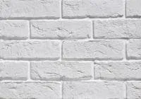 Коллекция «Брюгге серии SLIM BRICK» 100 (100)