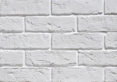 Коллекция «Брюгге серии SLIM BRICK» 100